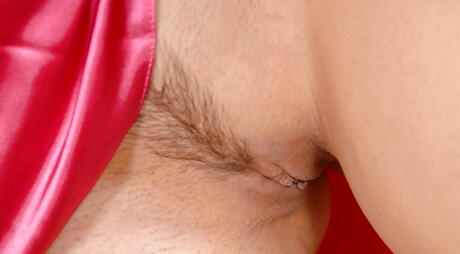 Excellent american dark hair milf Eve Angel in sexy panties exposing big hooters and puting a toy in her cunt 